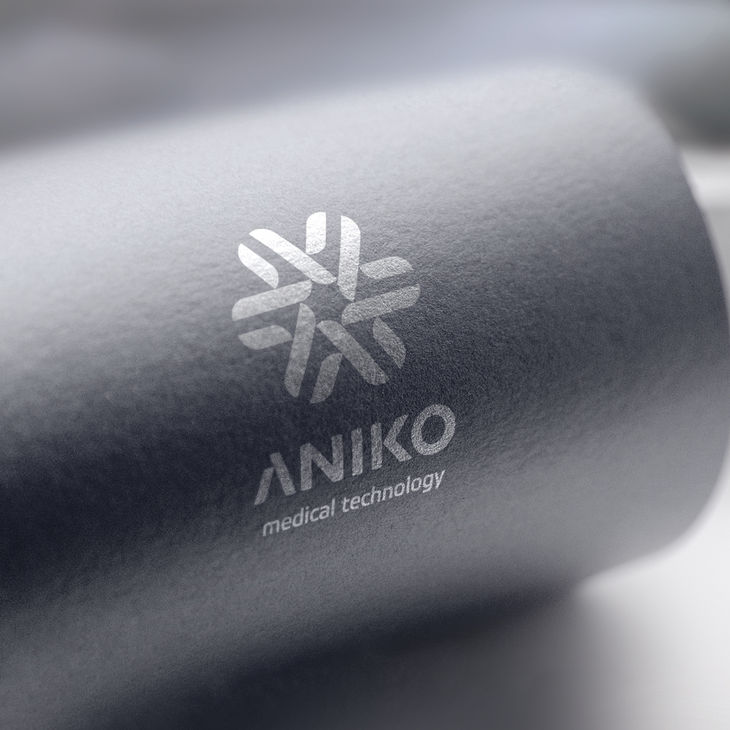 Горизонтальный логотип компании ANIKO. Шелкография серебряной краской