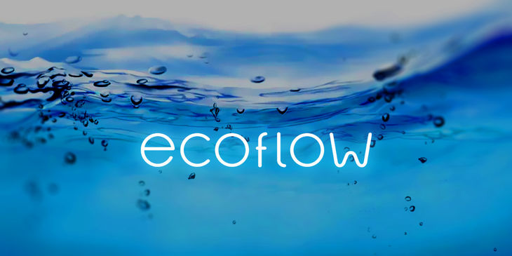 Логотип для магазина насосного оборудования ecoflow