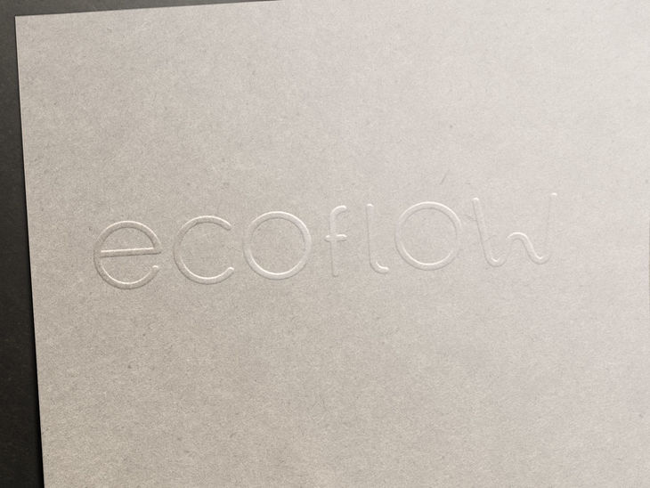 Логотип для магазина насосного оборудования ecoflow. Технология тиснения на бумаге